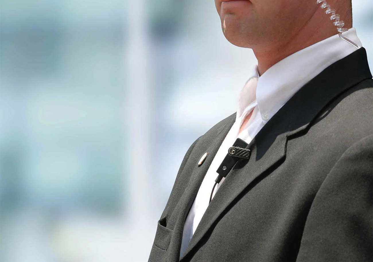 Professional security service